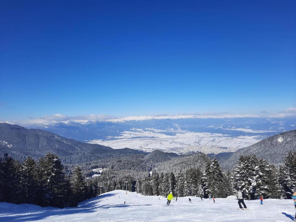 Apartments In Aspen Suites 반스코 객실 사진